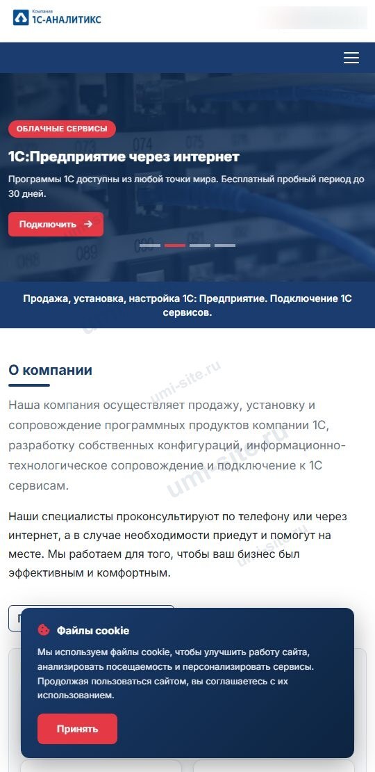 Сайт компании 1С-АналитИКС